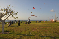 بالصور: اطفال المدينة يشاركون في فعالية لإطلاق الطائرات الورقية بمتنزه يافا 